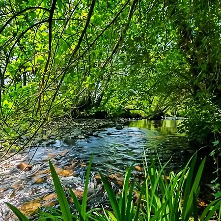 Riverside Garden * Bishops Village